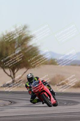 media/Nov-30-2025-TrackXperience (Sun) [[c0061d280f]]/2-Level 2/Session 6 Turn 4 Tree of Life/